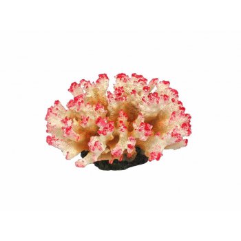 HAQUOSS POCILLOPORA 3 - 11x10x6h cm